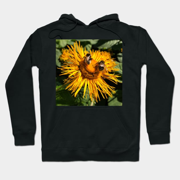 Two bees, or not two bees, that is the question - Square crop Hoodie by Violaman